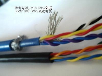 特種電纜專家 ZA-RVVPS電纜生產(chǎn)商的實力與產(chǎn)品優(yōu)勢解析